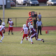 IMG-2237