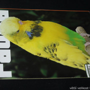 IMG-7751