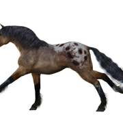 horse-PNG2540-result