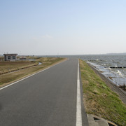 2009-03-17-101