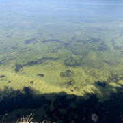 IMG-3044