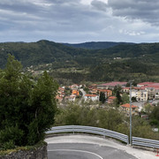 IMG-2232