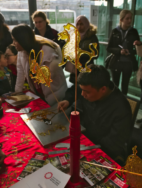 IMGP5356.jpg