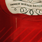 austria-home-pull2