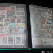 IMG-3257