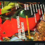 IMG-7803