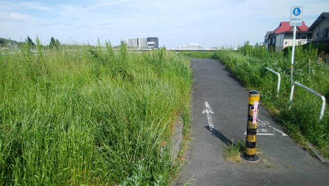 DSC-0065.jpg