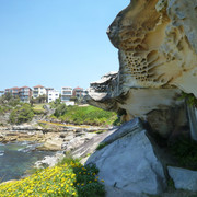 P1290931