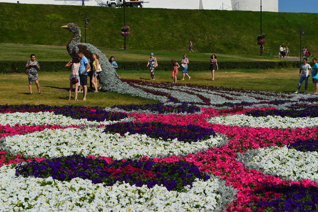 DSC-0178