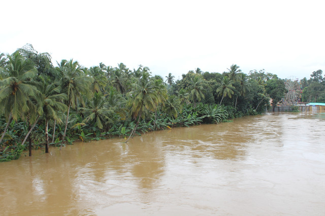 IMG 0607.jpg