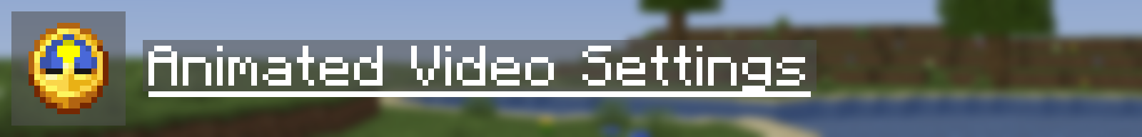 Animated Video Settings
