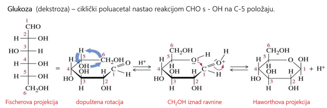 sugars