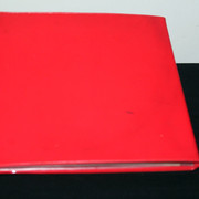 IMG-9590
