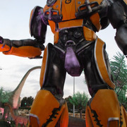 IMG-7207