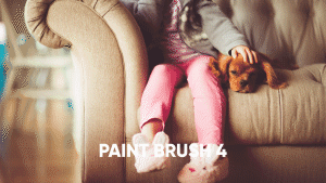 paintbrush-4