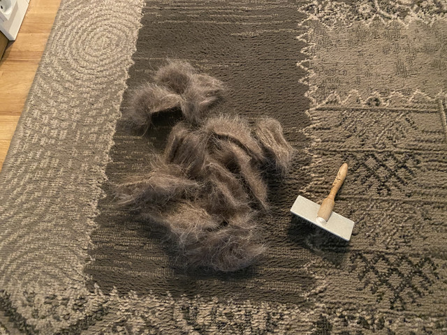 AC5-DFCAC-6-A15-44-BE-9-AB0-F33-F8-F09-C