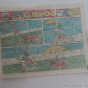IMG-0125