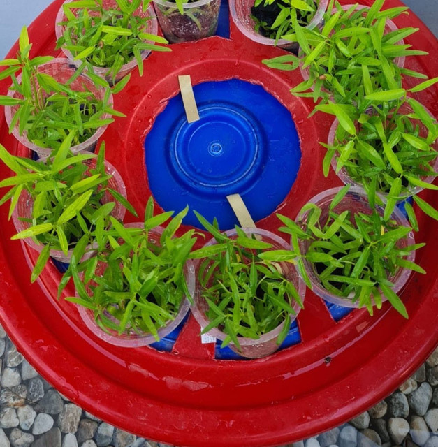 Whats-App-Image-2022-01-30-at-4-35-10-PM