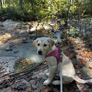 IMG-0783