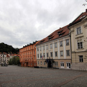 IMG-0019