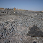 DSC01011