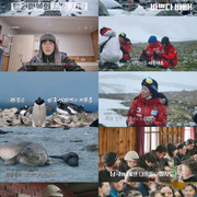 '남극의 셰프' 백종원→채종협, 아르헨티나 기지에 심은 'K-푸드'… 국경 넘은 훈훈함