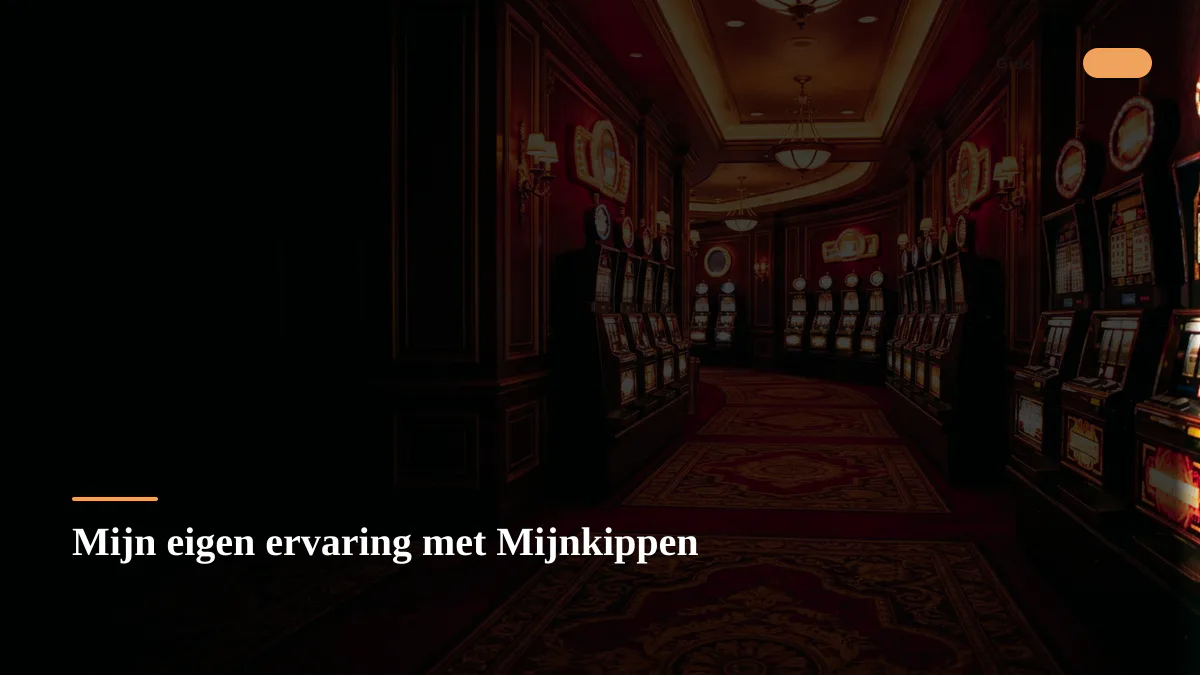 Mijn eigen ervaring met Mijnkippen