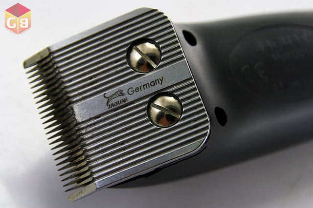 MG 5361