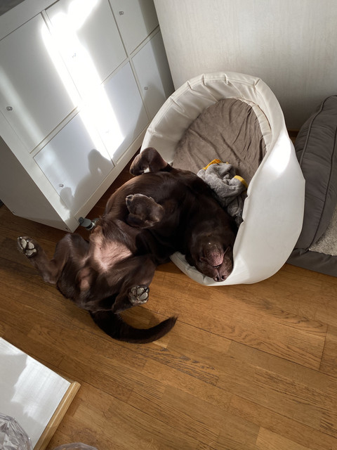 76-BEC11-C-BAF1-4-B39-8-B56-C42-BFCB1439