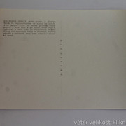 IMG-0346