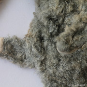 IMG-6738