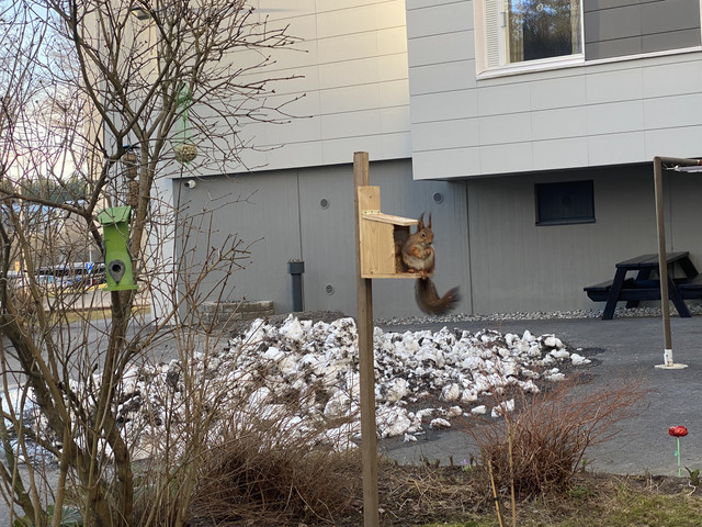 4917-C5-A9-F98-B-4753-8629-836-CC497-FC7