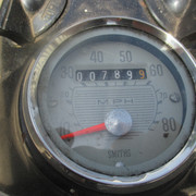 IMG-4354