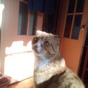 IMG-20220401-090353