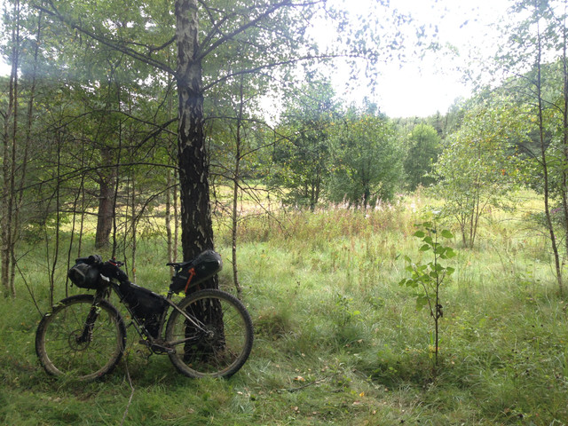 IMG-3983