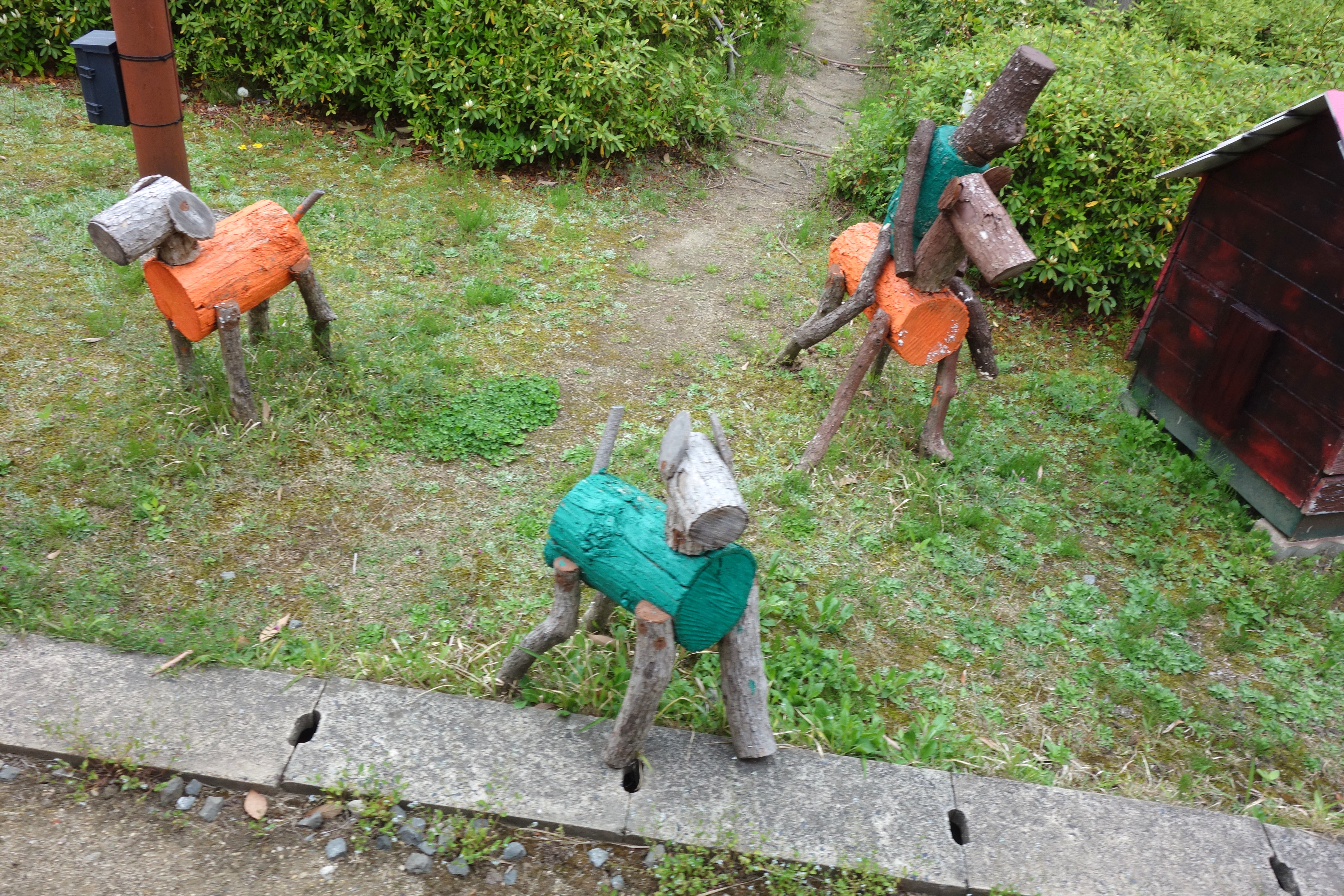 DSC10066