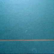 DSC03600