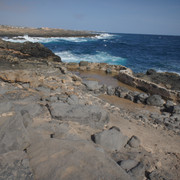 DSC00972