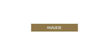 ANALIESE.png