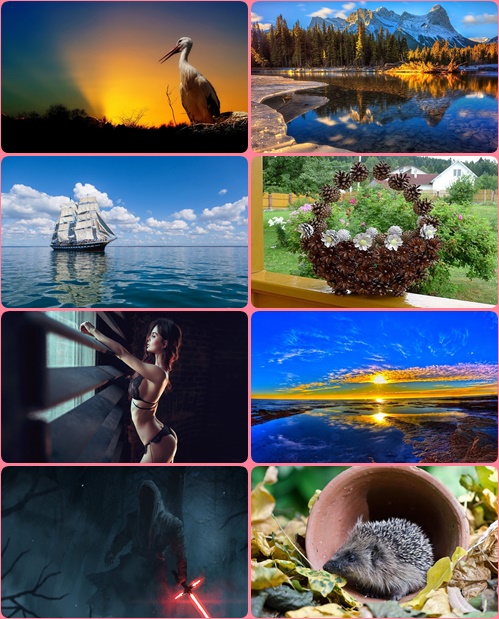 Mixed wallpaper collection # 347