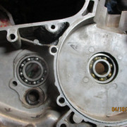 IMG-8613