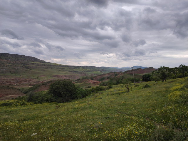 IMG-20240525-155950
