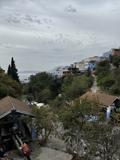 IMG-8054