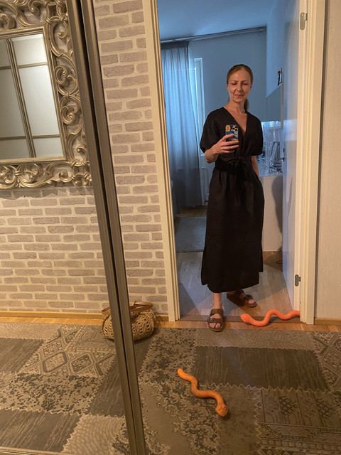 D610-B65-D-0-B71-4-CBA-86-BE-13-DF8-BFED