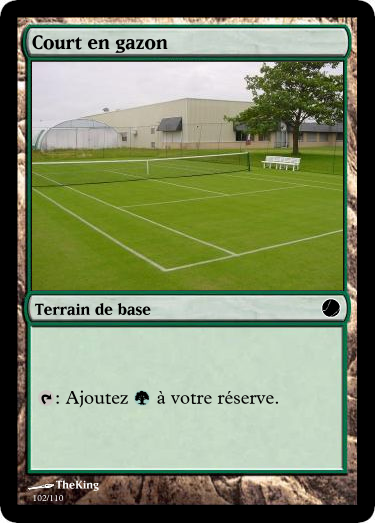 Court en gazon.png