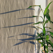 IMG-3741