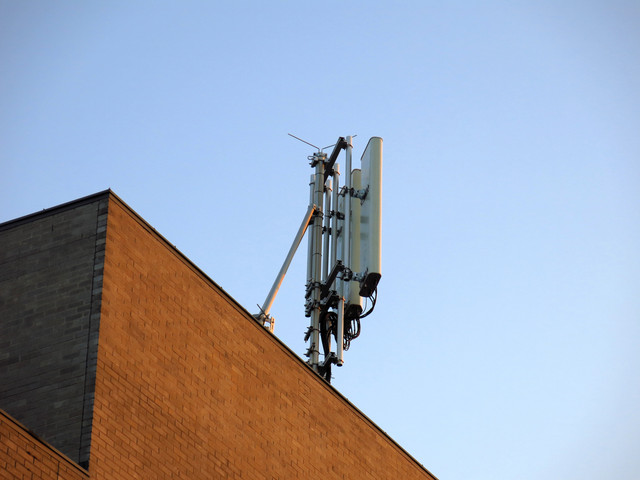 IMG-4379