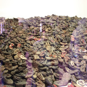 IMG-5834
