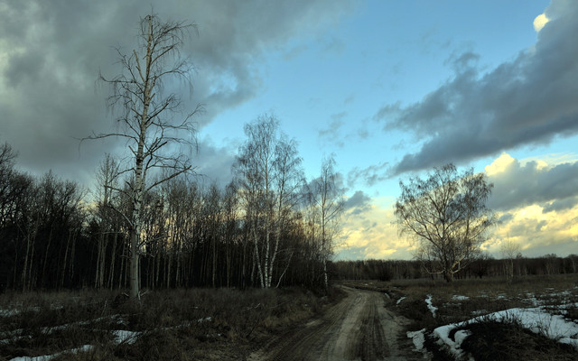 spring-075