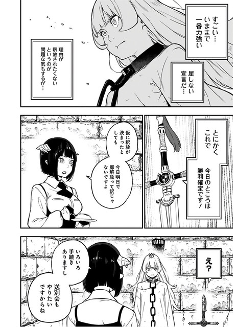 DLRAW-NET-0014